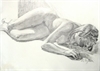 Anna Marie Asleep Pencil